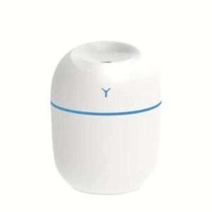 Egg Shape Humidifier