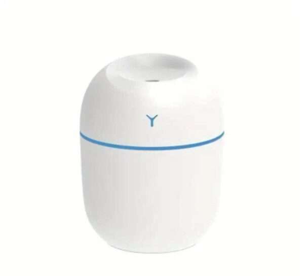 Egg Shape Humidifier