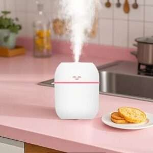 Mini Diffuser Humidifier